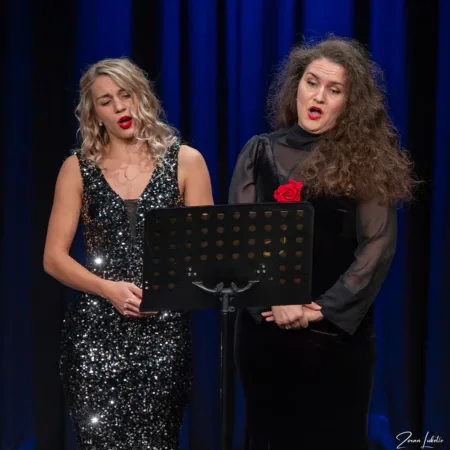 Autor Zoran Luketić Opera Gala 26.10.2026.
