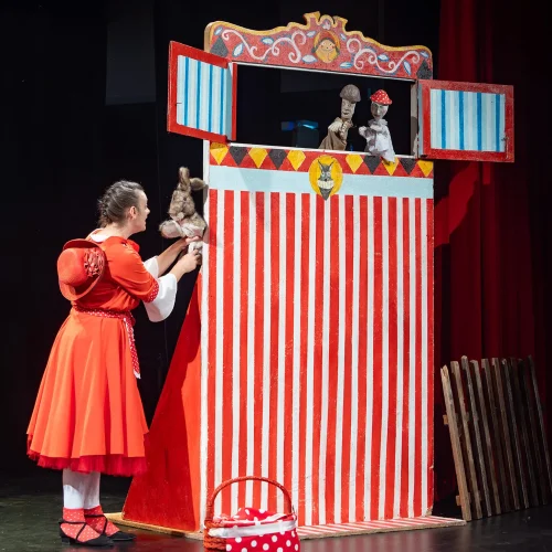 Autor zoran luketić crvenkapica (18)