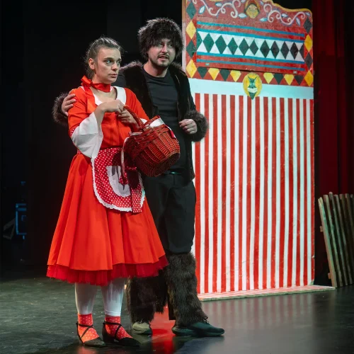 Autor zoran luketić crvenkapica (35)